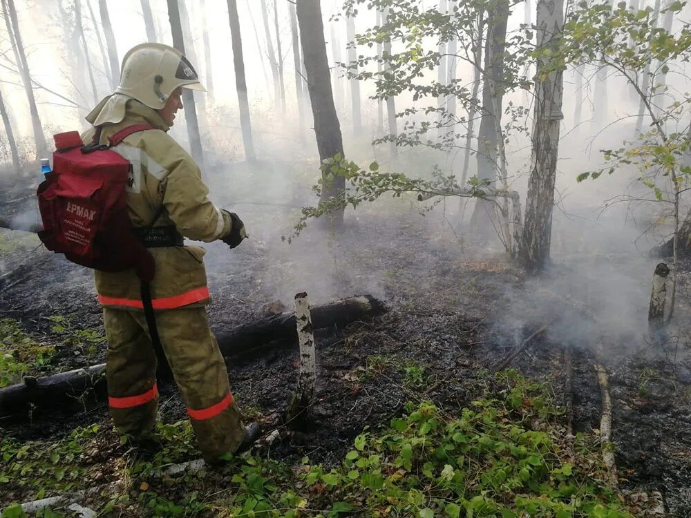 борьба с лесными пожарами. тушение лесных пожаров добровольцы. мчс россии лесные пожары. тушение пожара в лесу. борьба с лесными пожарами.