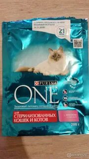 Котиком отзывы