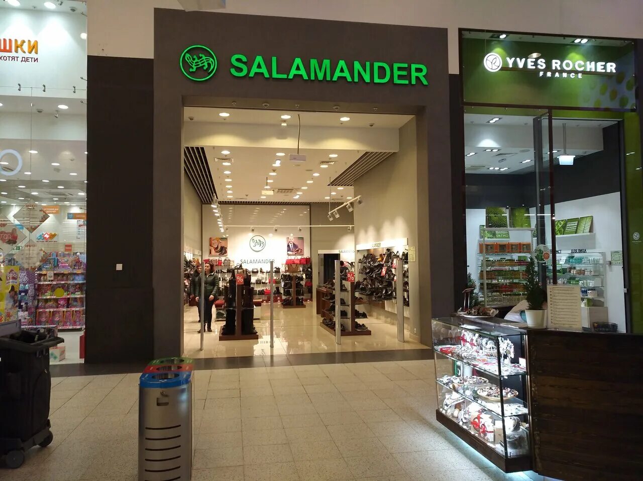 Salamander обувь лого. Саламандра самара. Саламандер эмблема. Salamander обувь лого. Саламандра самара.