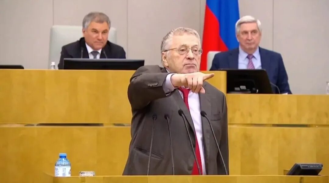 Выступление жириновского 2012. Выступление жириновского 2012