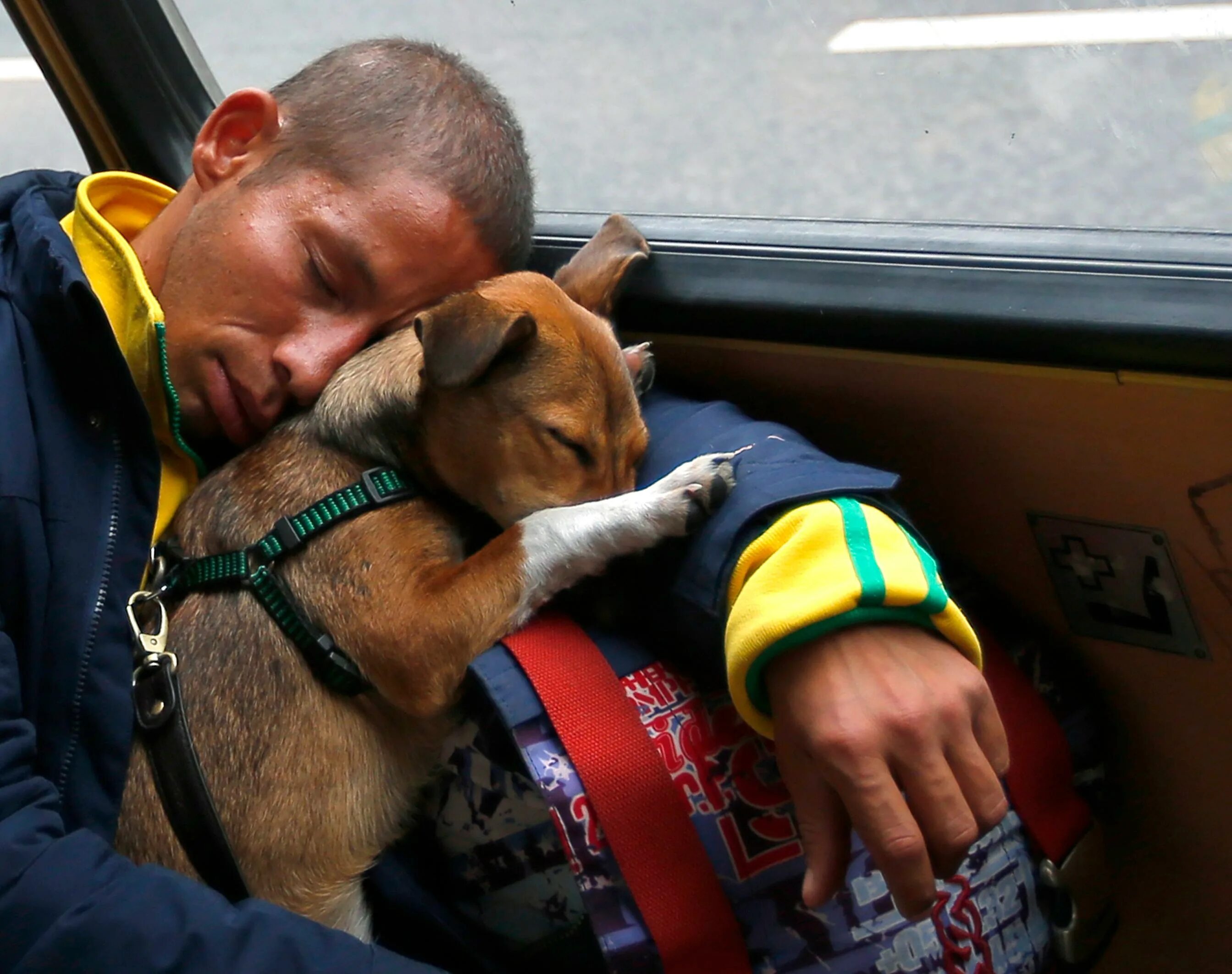 День сна в общественном транспорте. Японцы спят. Японцы спят. Скамейка в парке. Необычные места для сна.
