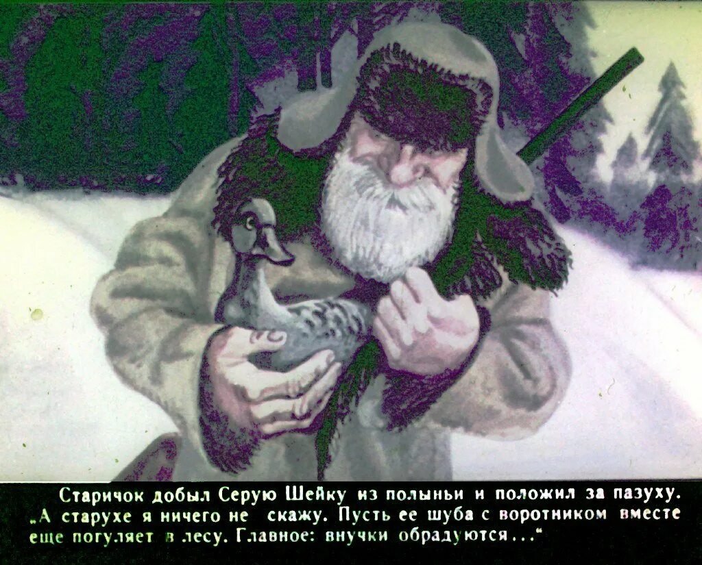 Диафильм "серая шейка". Емеля-охотник мамин-Сибиряк. Сказка Емеля охотник. Серая шейка старик. Емеля охотник читать