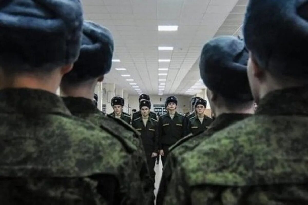 Почему срочники в курске