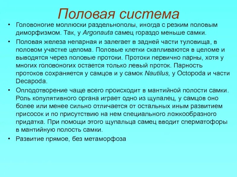 Половая головоногих