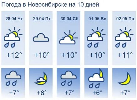 Нгс погода на 7 дней в новосибирске
