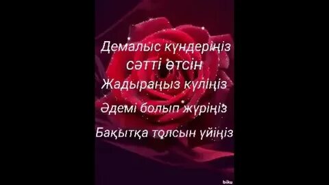 Фокси траннимен порно группалық секс