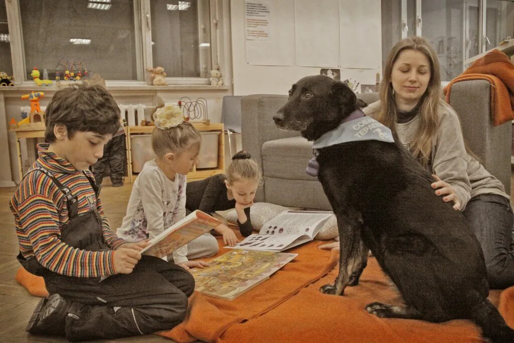 Собака в библиотеке. Щенята в библиотеке. Чтение с собакой. Чтение книги с собакой. Дети читают собаке