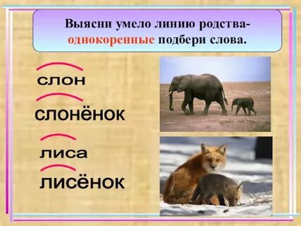 Однокоренные слова к слову лиса