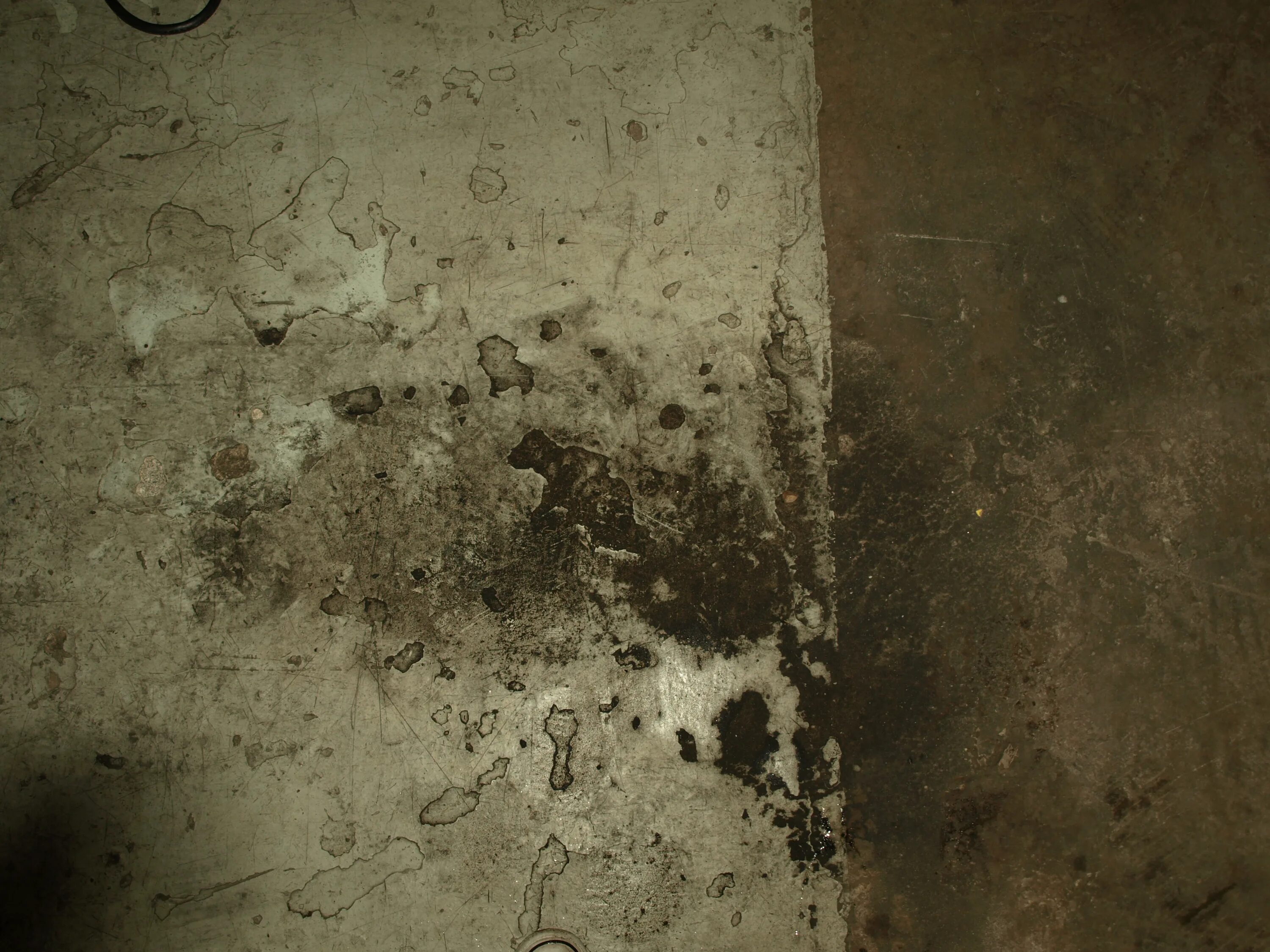 Dirty floor. Dirt Floor. Lab Dirty Floor. Dirt is Dirty.