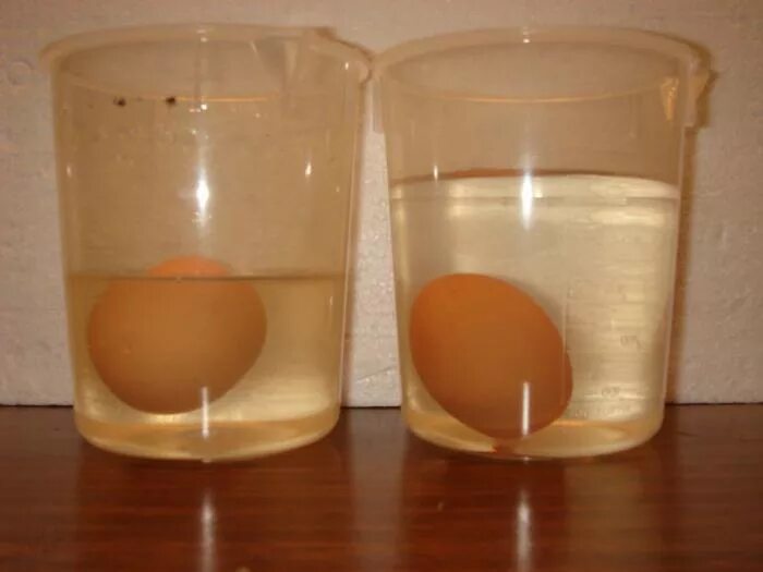 Опыт с яйцом и соленой водой. Свежее яйцо в соленой воде. Свежесть яйца в соленой воде. Свежее яйцо в подсоленной воде.