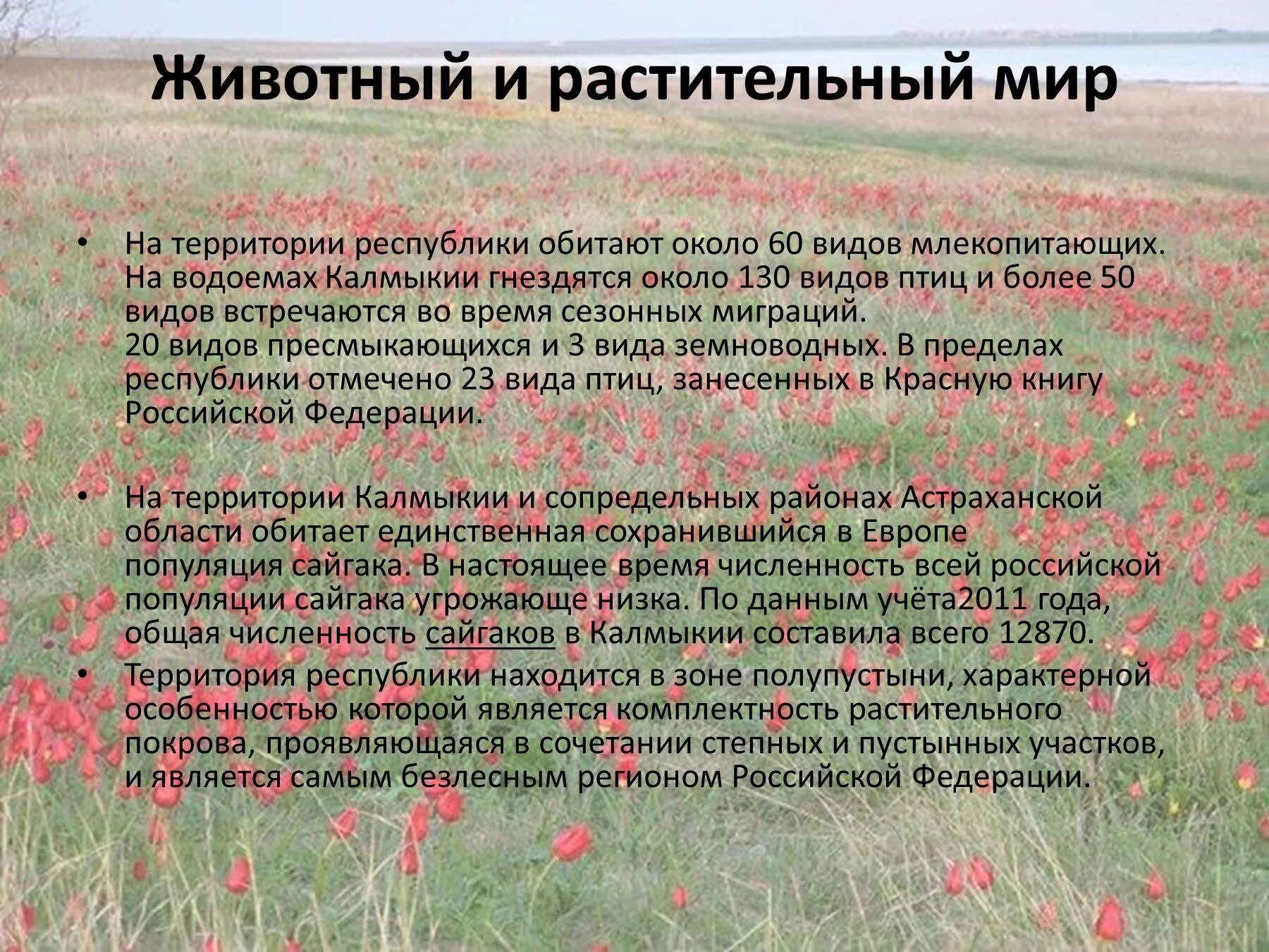 Одной из экологических проблем степной зоны является