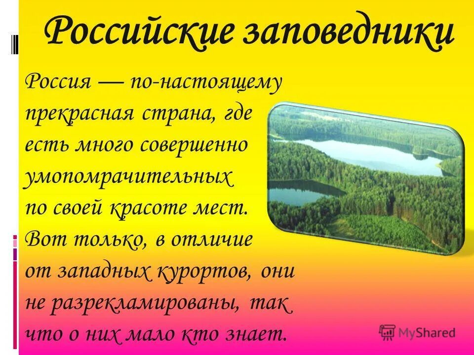 Заповедники россии доклад 8 класс. Сообщение о заповеднике. Сообщение j заповедниках. Доклад о заповеднике. Рассказ о заповеднике России.