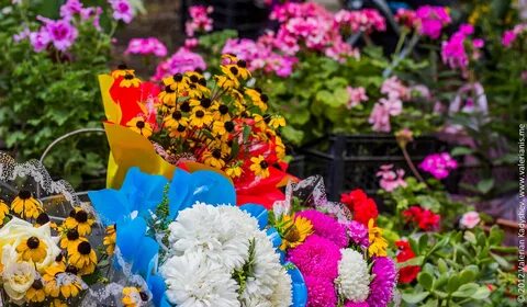 Праздник цветов день рождения