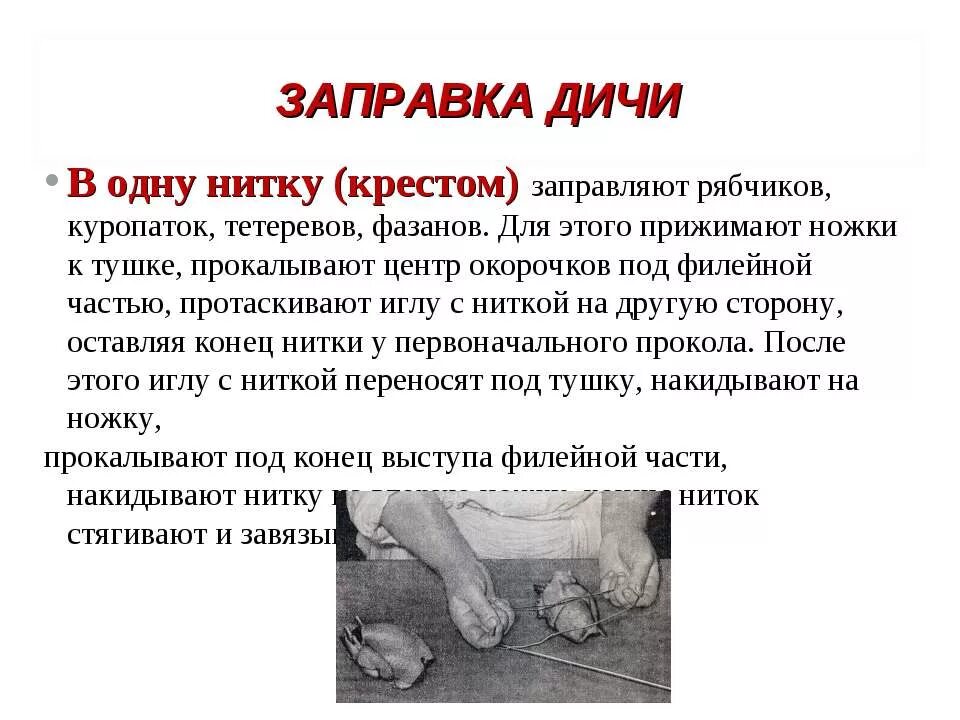 при обнаружении дичи. охота на фазана в ростовской области. собака на охоте. при обнаружении дичи. охотничья собака венгерская выжла.