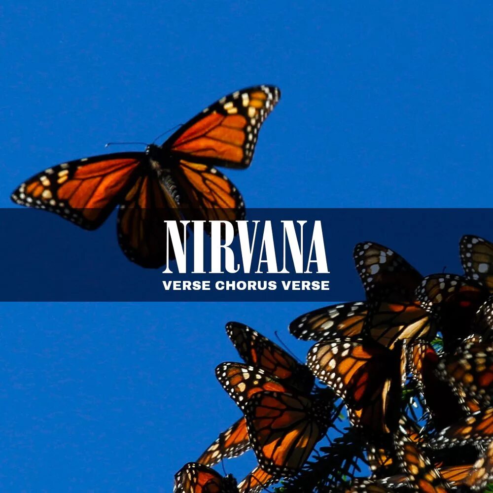 Chorus перевод. Verse chorus verse. Verse chorus verse. Chorus обложка. Verse chorus verse nirvana.
