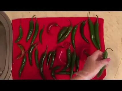 Как посушить перец острый на зиму
