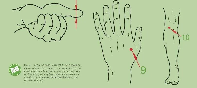 точки от головной боли. тоски о т головной боил. точки отвечающие за головную боль. точки массажа при головной боли. точки от головной боли.