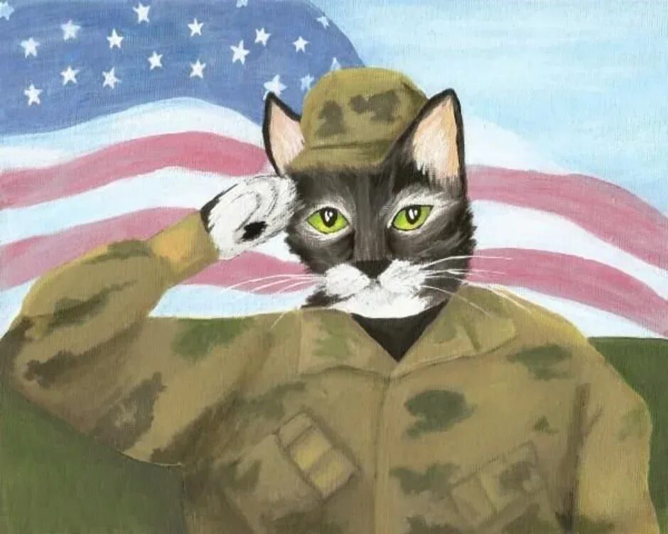Открытка на 23 с котами. Военные коты. Котик солдат. Котик в военной форме. Коты солдаты.