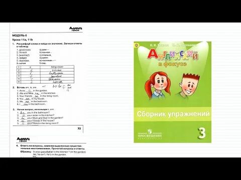 Грамматический тренажер Spotlight 3 класс ответы. Модуль 6 уроки 11а 11b. Грамматический тренажер 4 Module 4 13 упражнения. Спотлайт 3 модуль 6. Module 6 unit 12