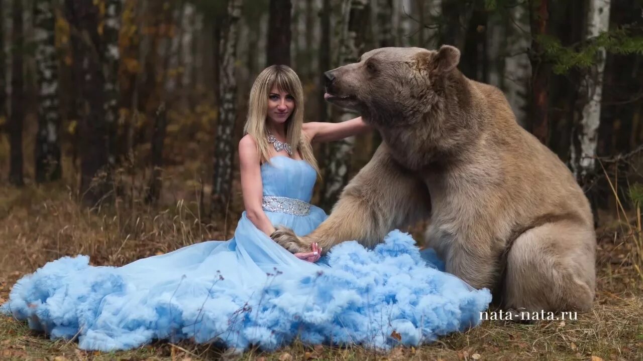 Какой медведь алиса