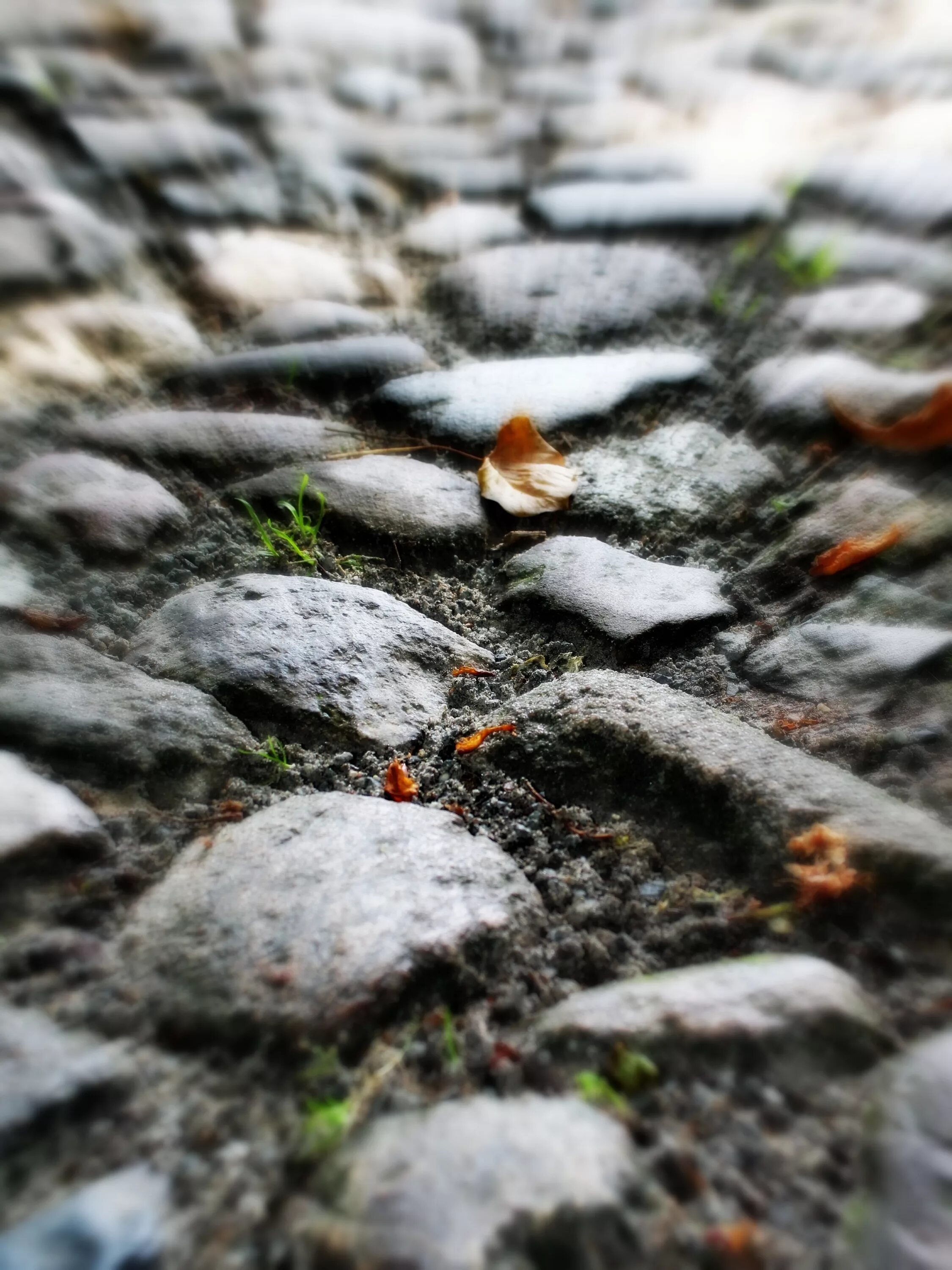 Stone fall. Камень в лесу. Каменная тропинка в снегу. Камни в снегу. Мокрый камень.