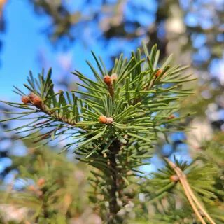 Ешектегі жігітті былдырды