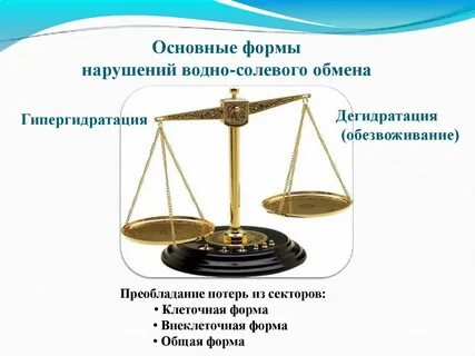 Механизм водно солевого обмена