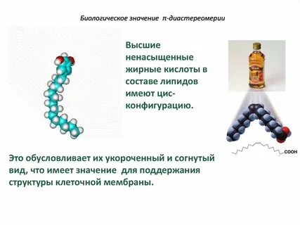 Кислоты мембраны