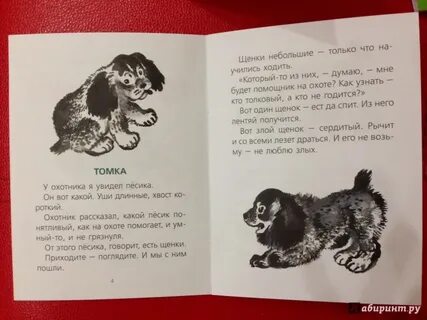 Рассказ е чарушина про томку