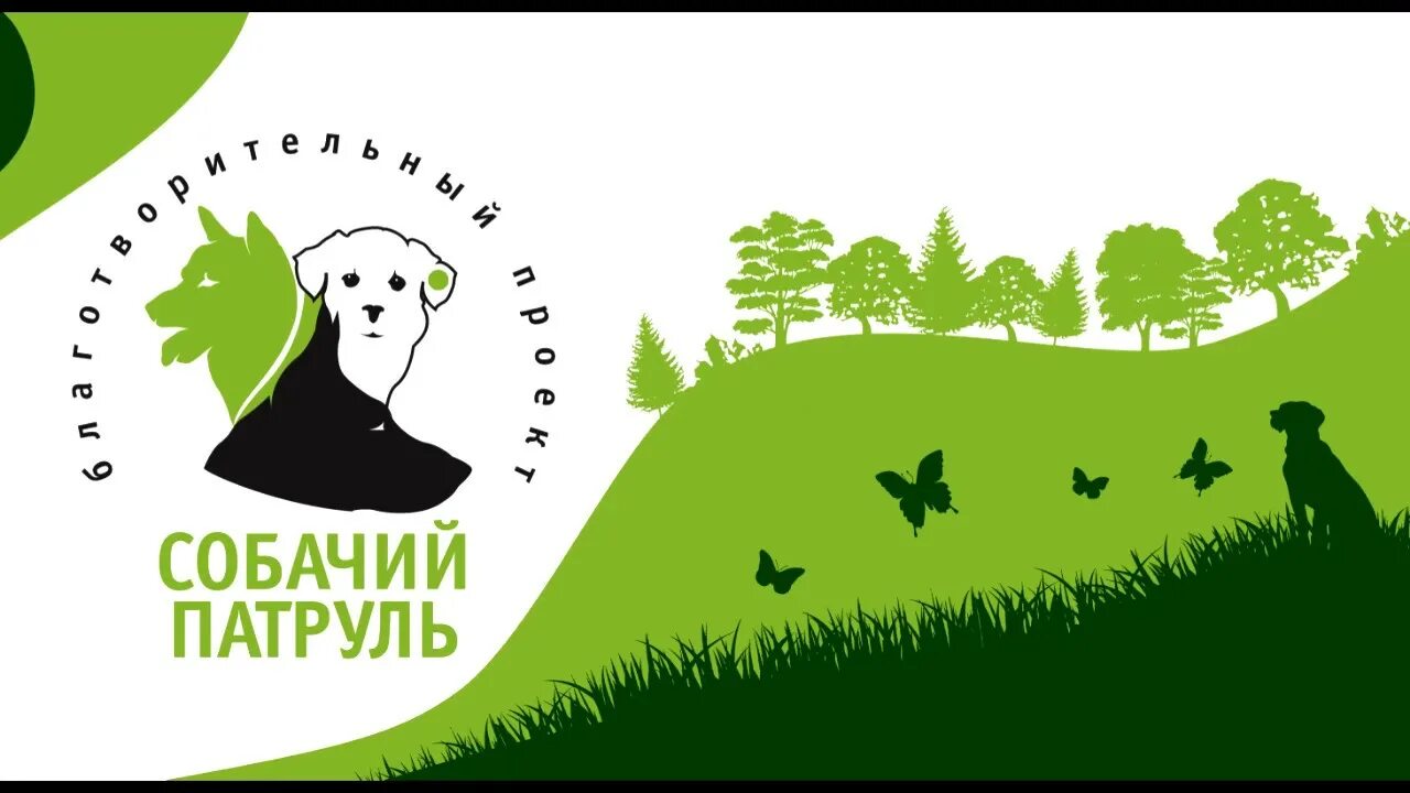 Райли щенячий патруль. Собачий патруль ростов на дону. Собачий патруль ростов. Щенячий патруль ферма. Часы собачий патруль.