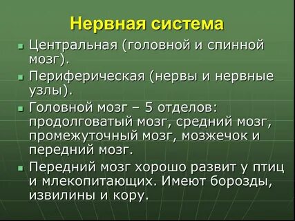 Регуляция биологических систем