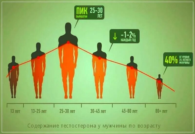 Как повысить тестерон в организме мужчине. Уровень выработки тестостерона. Показатели высокого тестостерона. Выработка тестостерона по возрасту у мужчин. Показатели высокого тестостерона у мужчин.