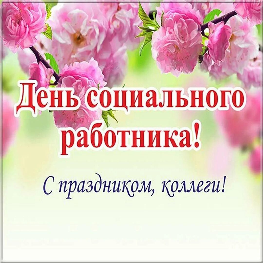Поздравление с днем социального работника. С днем социального работника. с днемсоциаоьного работника. с днём социального работника поздравления. с днём социального работника поздравления открытки коллегам.