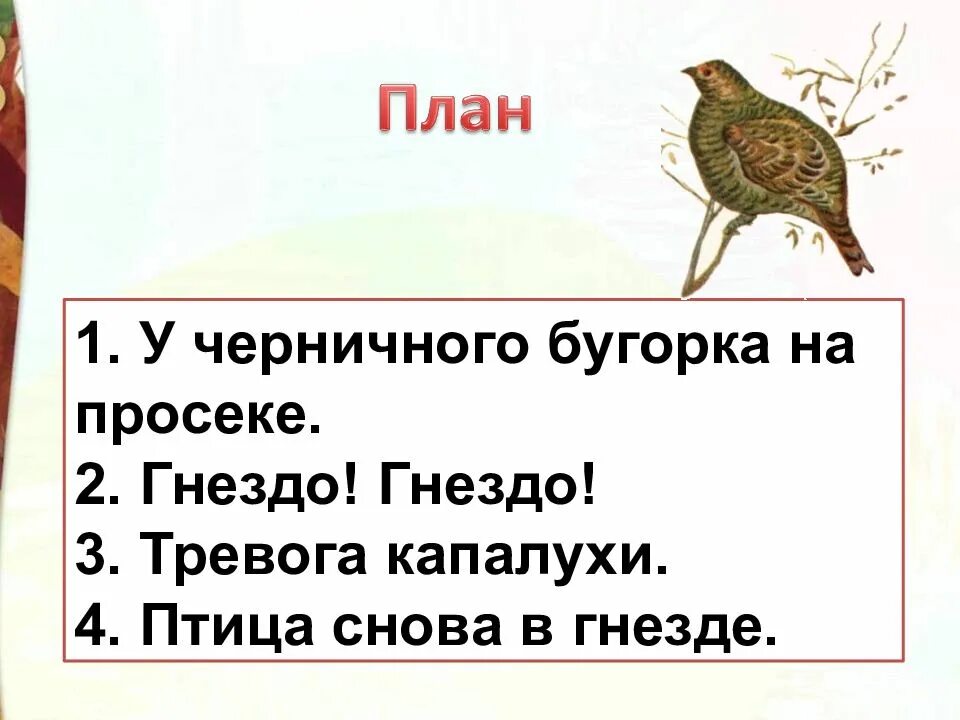 План к рассказу Капалуха. Капалуха Астафьев. Капалуха план 3 класс литературное чтение. Астафьева Капалуха план.