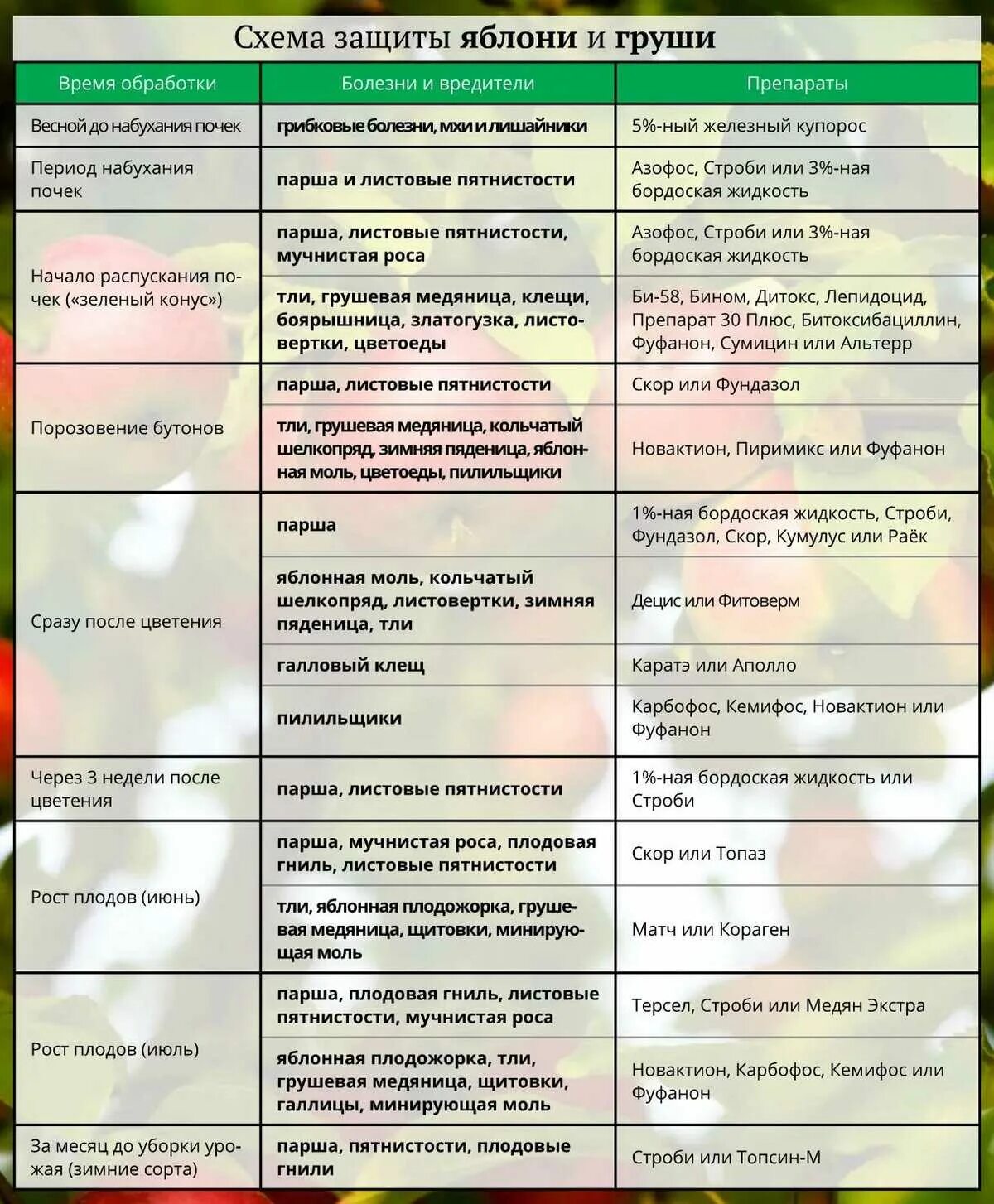 Чем опрыскать цветущую вишню