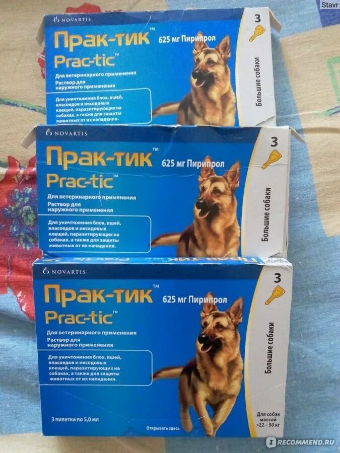 Капли от клещей prac tic. Прак-тик prac-tic капли от блох и клещей. практик 11-22 капли для собак. прак-тик prac-tic капли на холку для собак 4.5-11 кг. практик от клещей для собак.