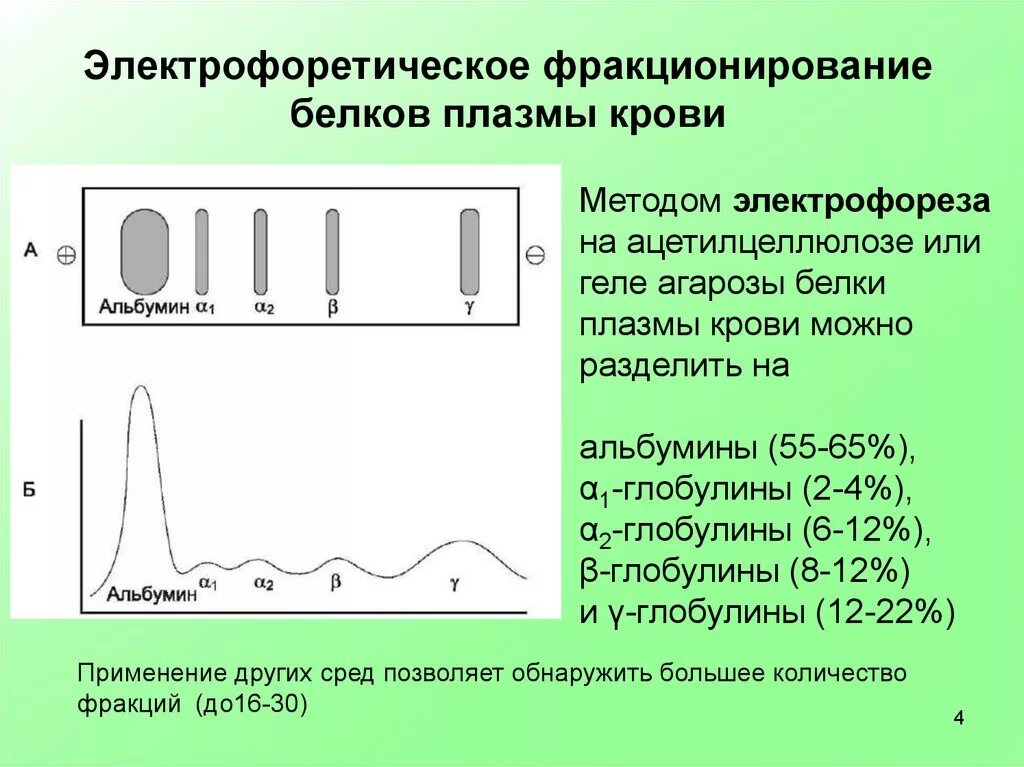 Разделение белков сыворотки крови