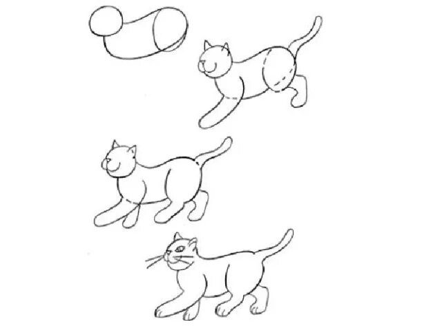 Движение первых кот. Поэтапное рисование кошки для дошкольников. Схема рисования кошки для дошкольников. Этапы рисования кошки. Кот для рисования.