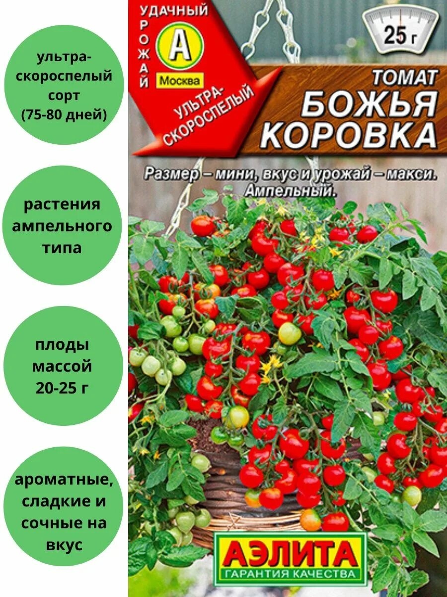 Томаты божья коровка описание сорта