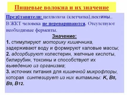 Способны расщеплять целлюлозу