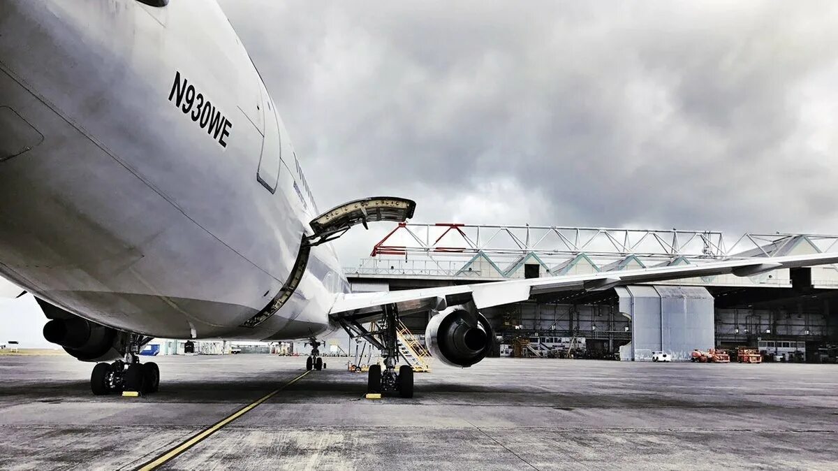 Ассоциация сверхлегкой авиации. Коврик для авиаперевозки. Экспериментальная авиация торговля. Самолет кузнечик. Торговля авиации.