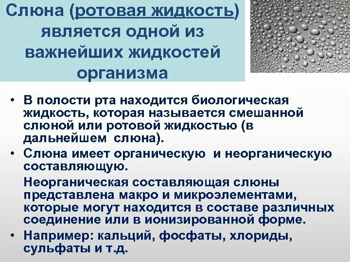 Экспертиза слюны. Биологические жидкости полости рта. Методы диагностики слюны. Слюна и ротовая жидкость. Слюна биологические жидкости.