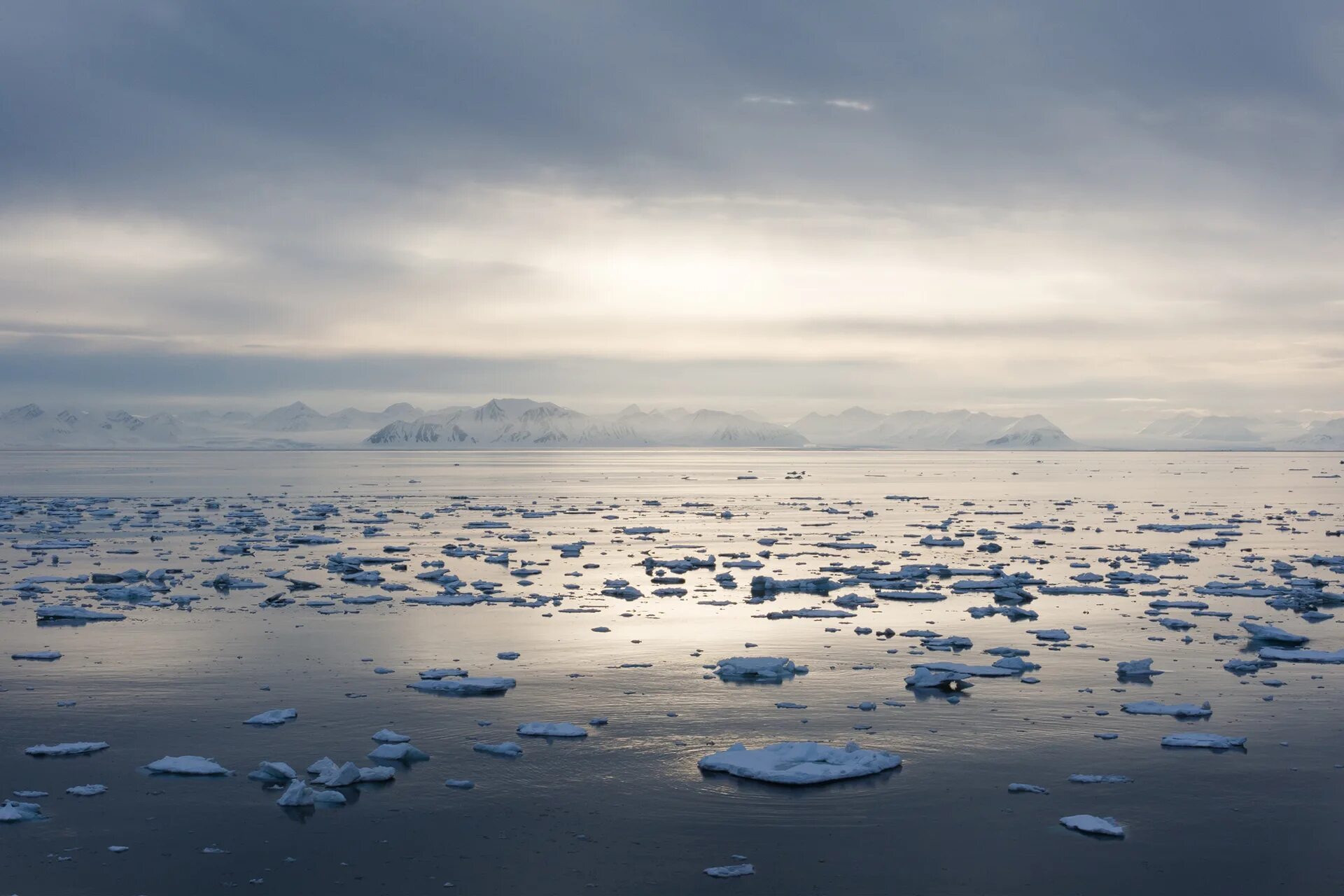 Белое море Северный Ледовитый океан. Балтийское море Северный Ледовитый океан. Северно Ледовитый океан канадский архипелаг. Арктический пейзаж. Отчет от южных морей до полярного края