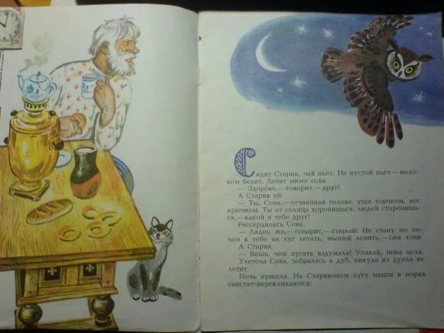 Сказка виталия бианки сова. Рассказы виталия бианки 2 класс сова. Краткое содержание сказки сова. Сказка сова бианки. Сказка сова бианки.