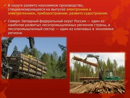 Один из лесопромышленных комплексов расположен в