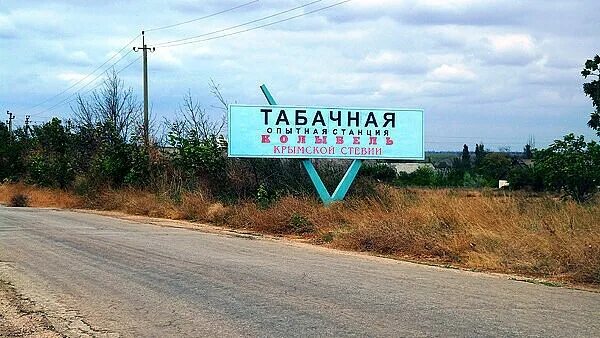 Крым бахчисарайский табачное. Село Табачное Крым. Табачное Бахчисарайский район. Табачное Крым Бахчисарайский. Табак Совхоз Крымский район.