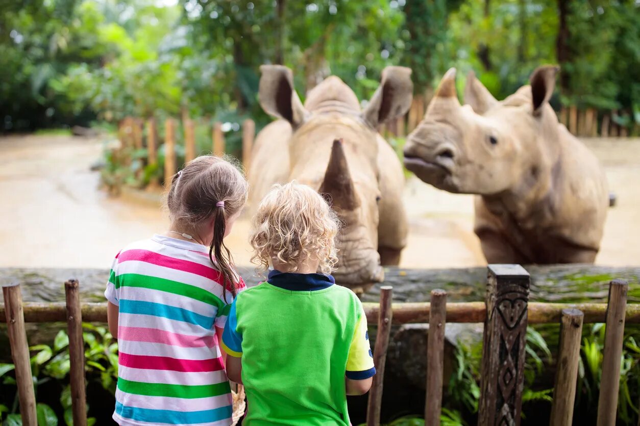 Zoo child. Зоопарк Сан-Диего. Зоопарк Лос Анджелеса. Семья в зоопарке. Дети в зоопарке.