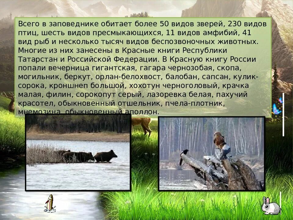 Значение биосферных заповедников
