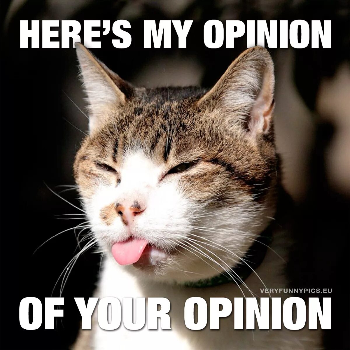 Because in my opinion. Your opinion my opinion. Картинки my opinion. Мем your opinion. Опинионс меме.