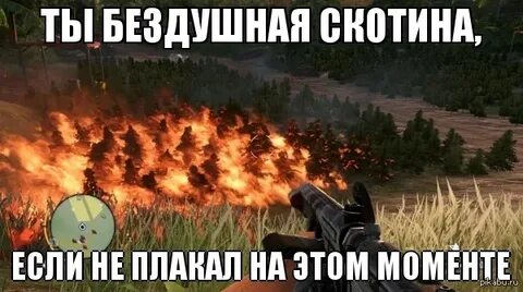 Фар край мемы